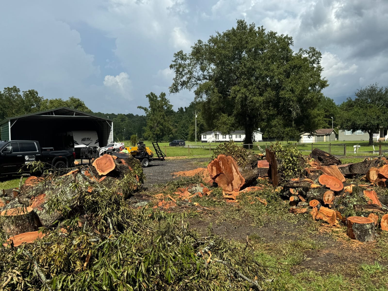 Lion Tree Service and Landscaping LLC project photo 49